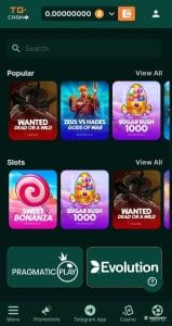 TG casino games