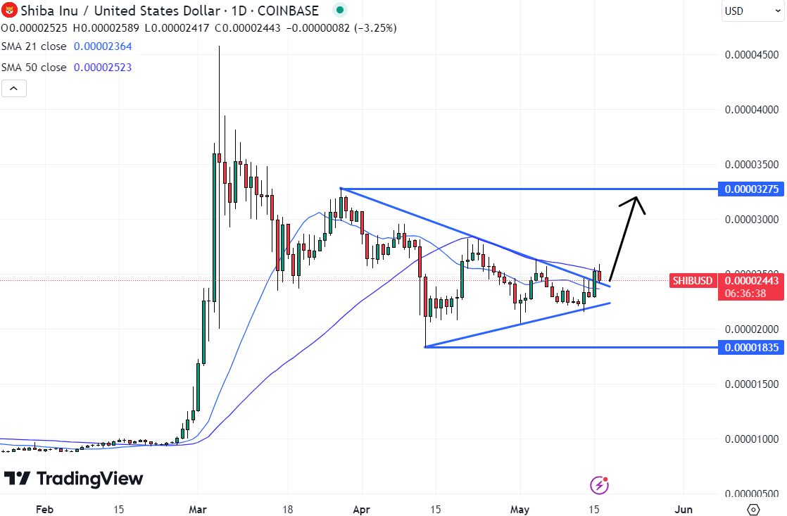 فيما تتطلع تحركات سعر عملة SHIB لاتخاذ مسار صاعد محتملٍ وشيك، عملةٌ رقميةٌ جديدةٌ تلفت الانتباه - المصدر: TradingView