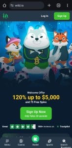 wild.io casino
