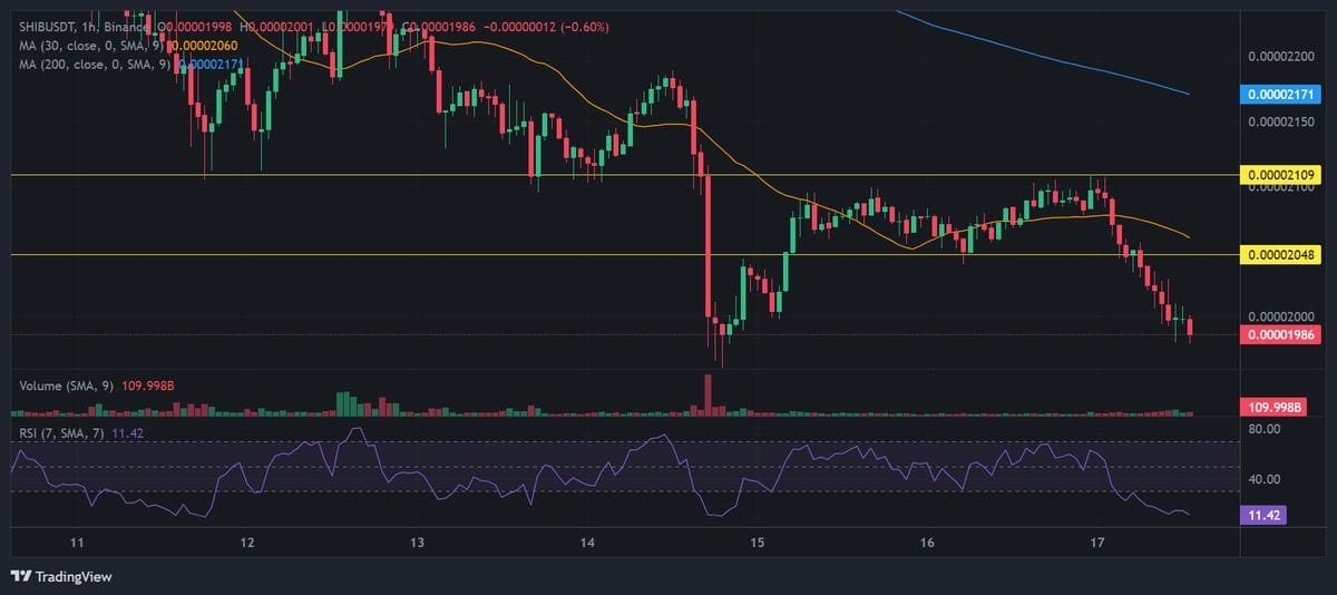 Shiba Inu price prediction with technical analysis. Source: Binance.