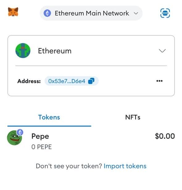 Pepe coin Metamask Added