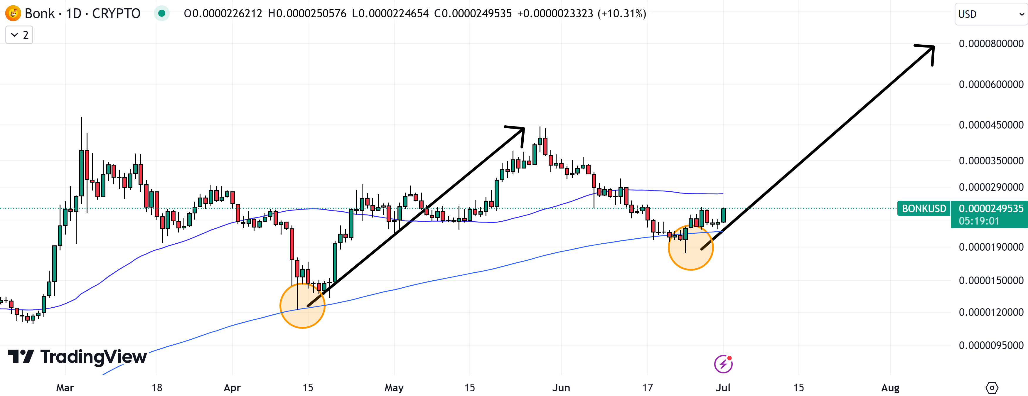 Solana Meme Coins Bonk, Dogwifhat Lead Crypto Price Rally, Expert Predicts $10 WIF 