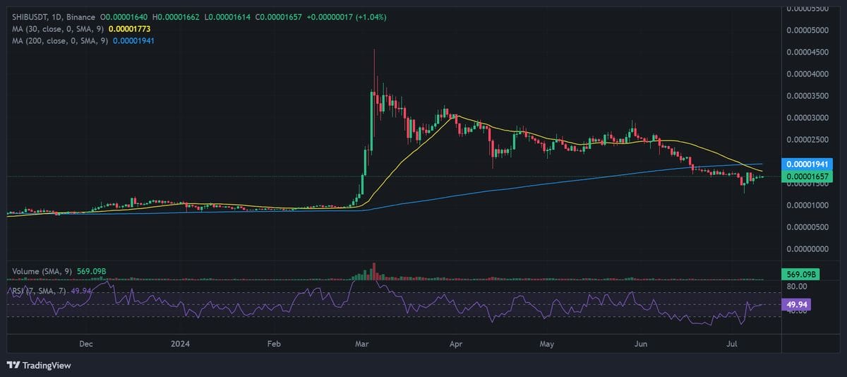 Shiba Inu Price Chart with technical analysis. Source: Binance.