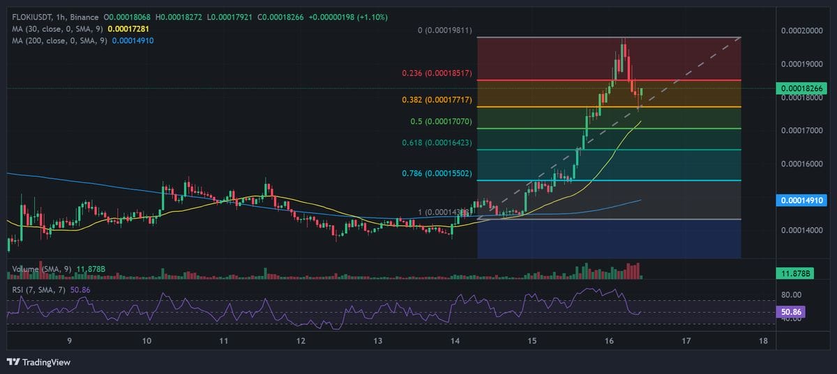 FLOKI price chart with technical analysis. Source: Binance.