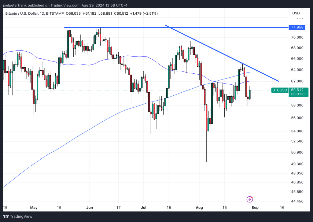 المخطط البياني اليومي لسعر عملة بيتكوين - المصدر: TradingView