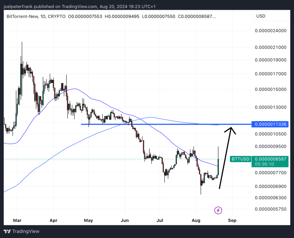 Top Crypto Performers Today - Brett, BitTorrent, dogwifhat 