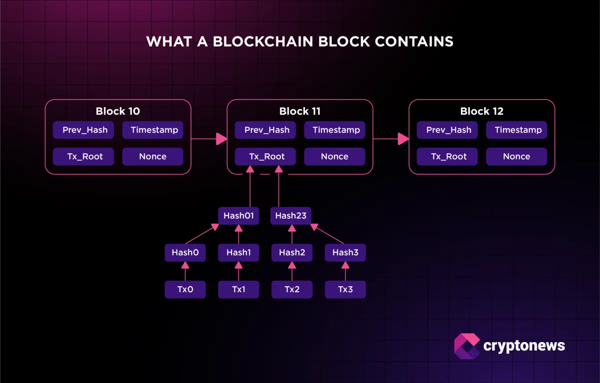 Illustration showcasing what is contained in a blockchain block.