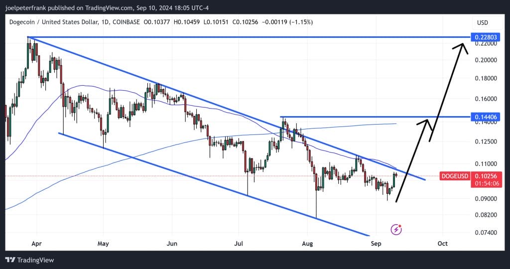 Did Elon Musk Just Spark a Dogecoin Price Rally?