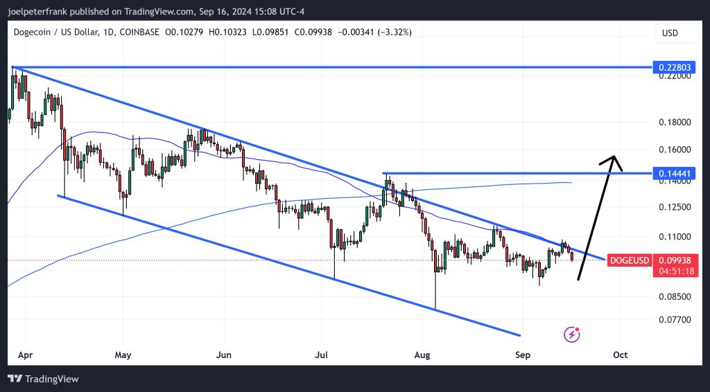 Dogecoin Price at Crossroads