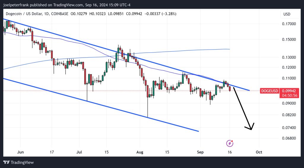 Dogecoin Price at Crossroads
