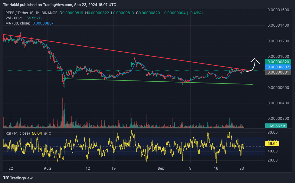 Pepe koers - TradingView