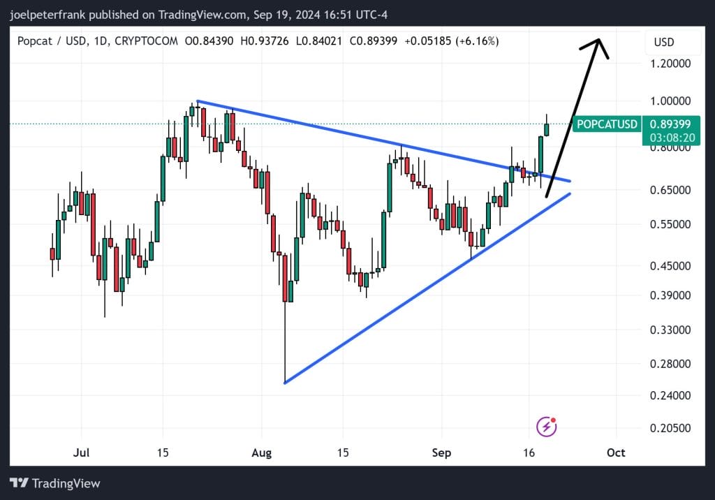 3 Best Meme Coins to Buy Before October Bull Run