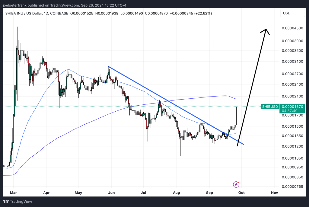 Best Crypto to Buy Now
