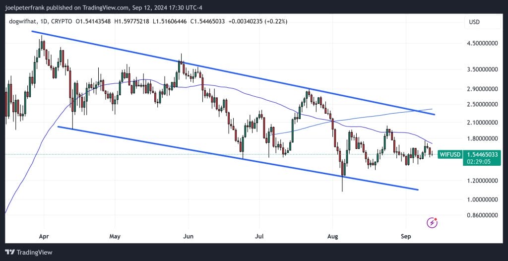 Is Dogwifhat Coin in Trouble?