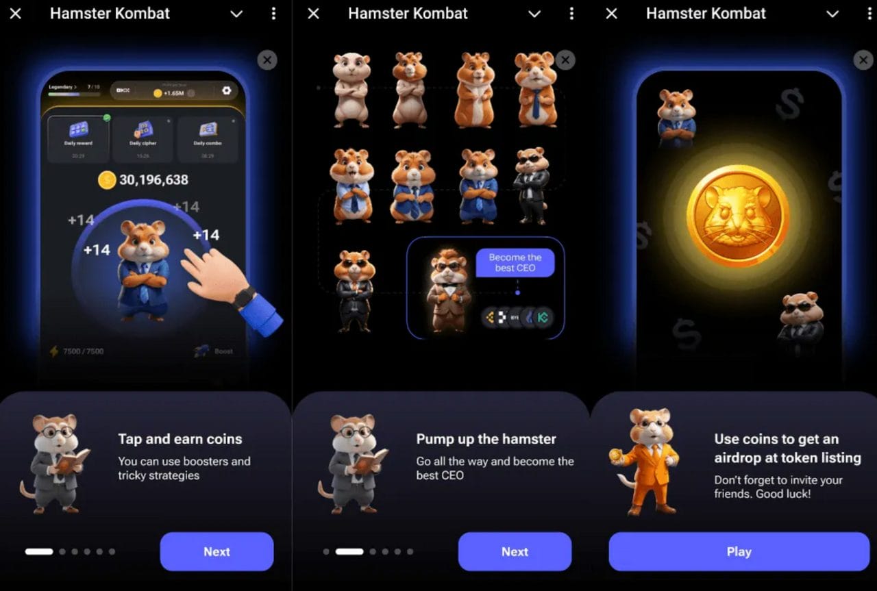 hamster kombat
