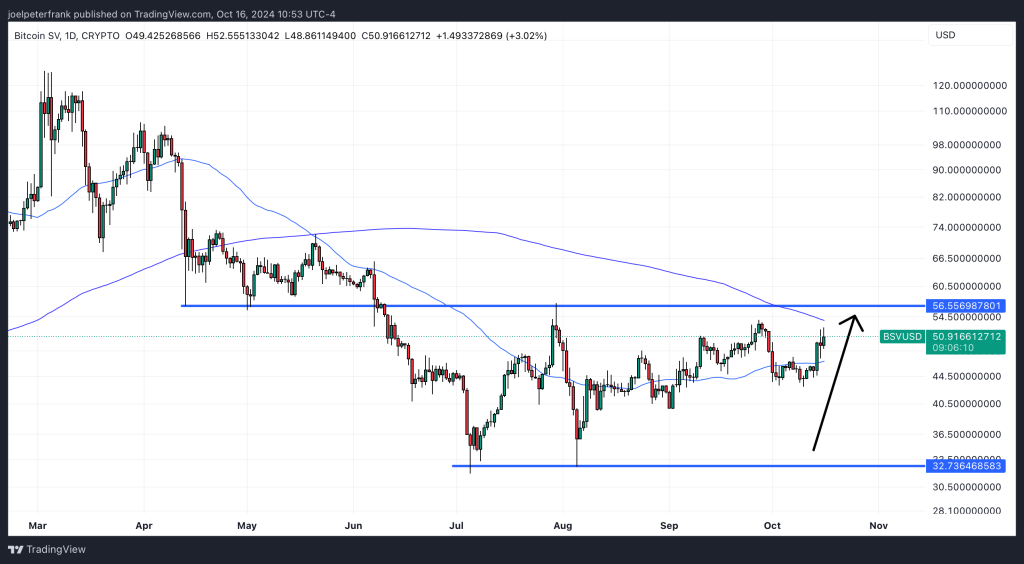 Best Crypto to Buy Now