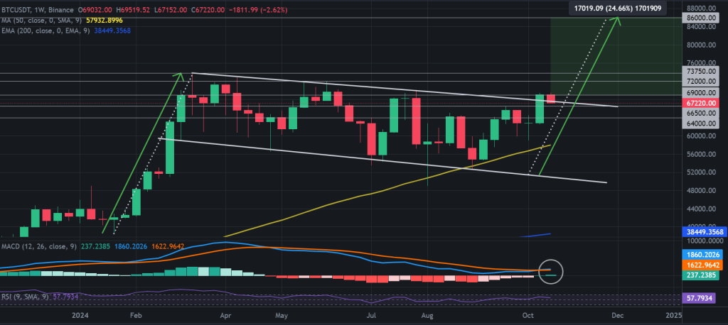 BTC / USDT 1W chart, bullish flag pattern breakout. Source: Binance.