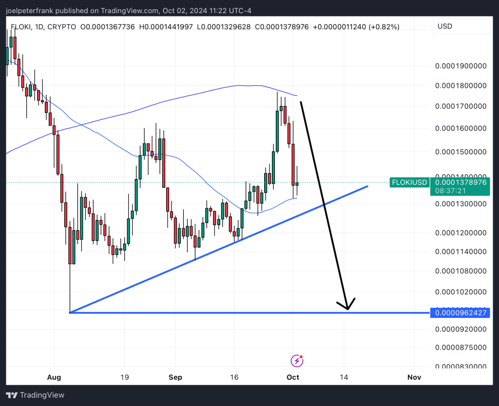 Floki Price Falls 10% After Iran’s Missile Strike on Israel