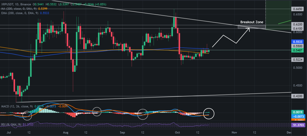 XRP / USDT 1D price chart, MACD crossover. Source: Binance.