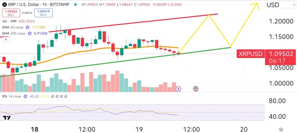 XRP price chart.