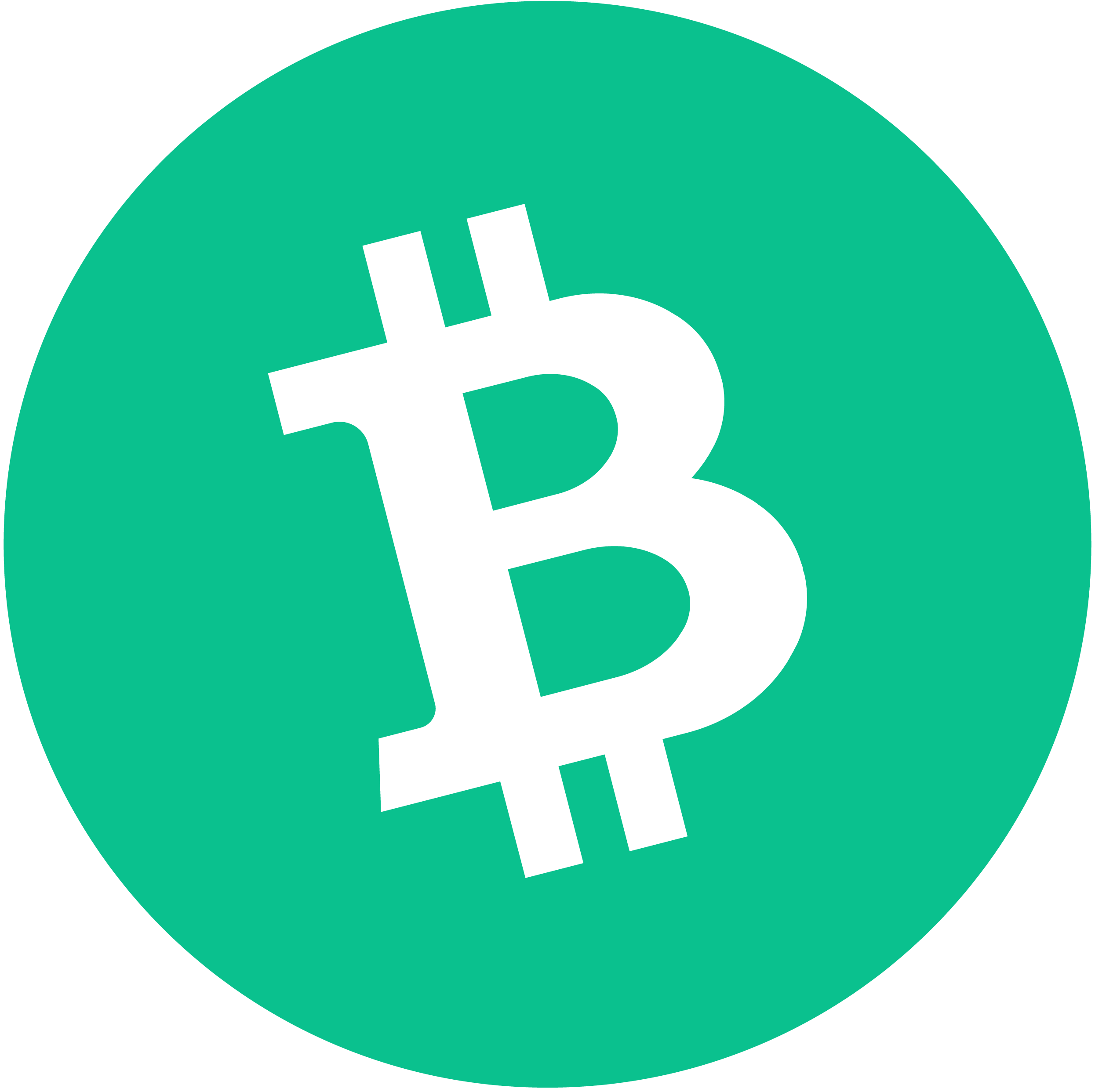 bch logo
