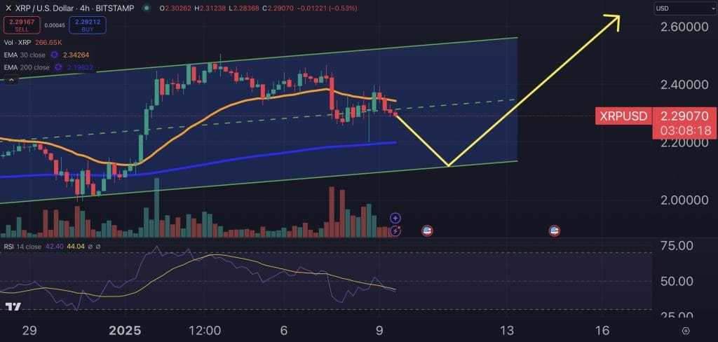 XRP fiyat grafiği.