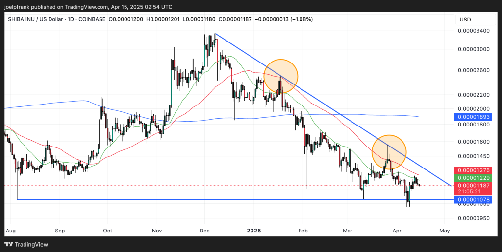 Shiba Inu (SHIB) Price Prediction - 50% Crash Coming?
