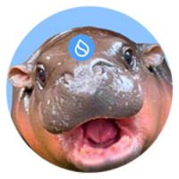 HIPPO logo