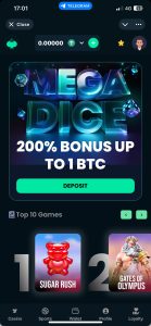 mega dice casino 