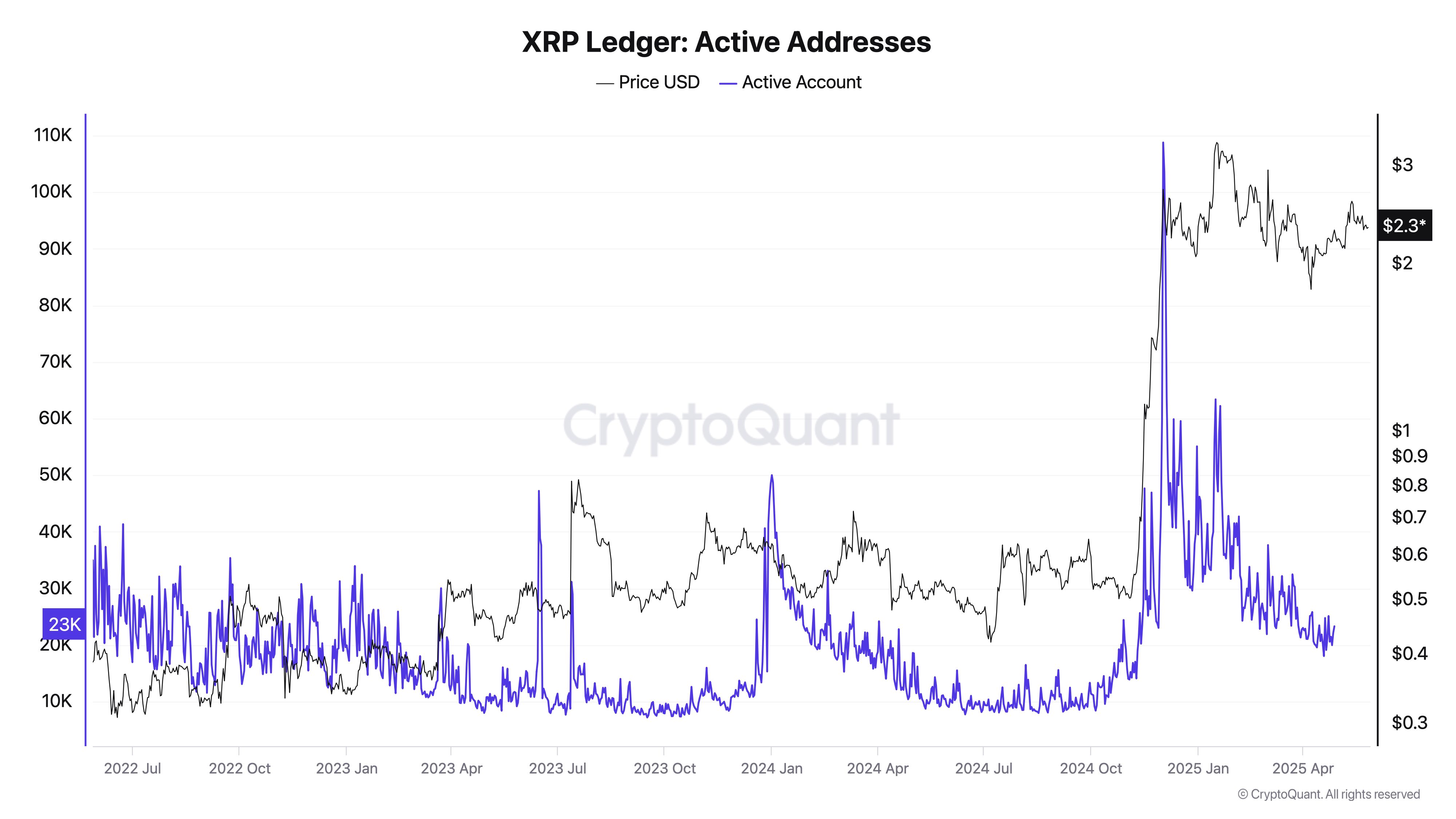 XRP aktif adresleri
