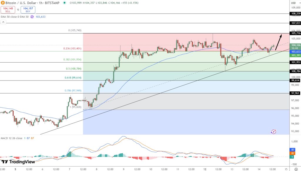 مخطط سعر BTC