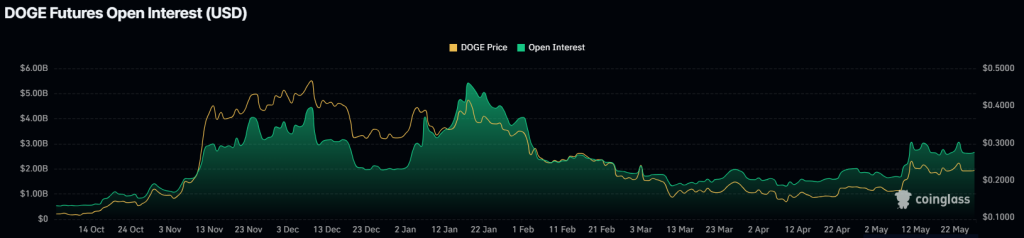Dogecoin'in açık pozisyonları.