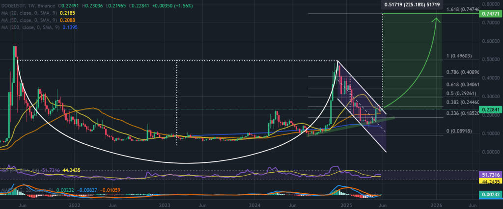 dogecoin fiyat grafiği.