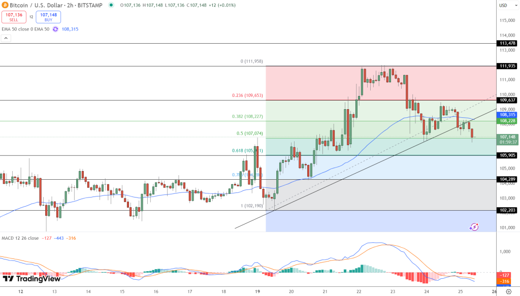 مخطط بياني لتحركات سعر زوج BTC/USD يظهر استقرار تحركاته ضمن مستويات تصحيح قيبوناتشي