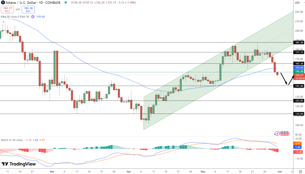 المخطط البياني للسعر اليومي لزوج SOL/USD