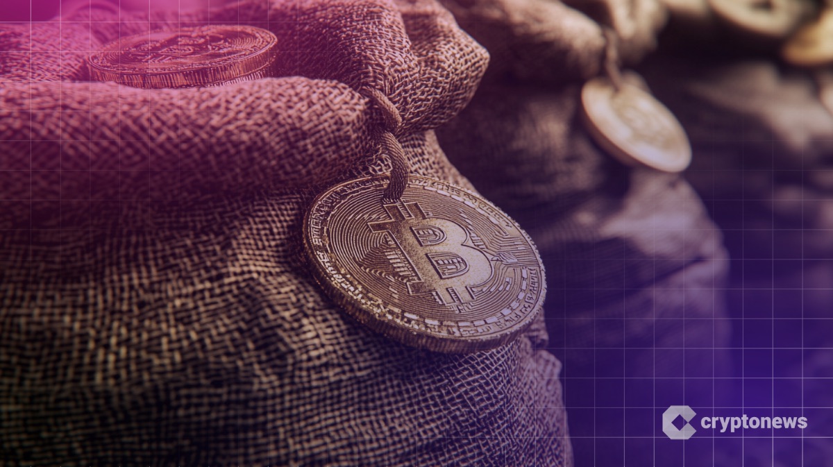 Semler Scientific Bitcoin holdings