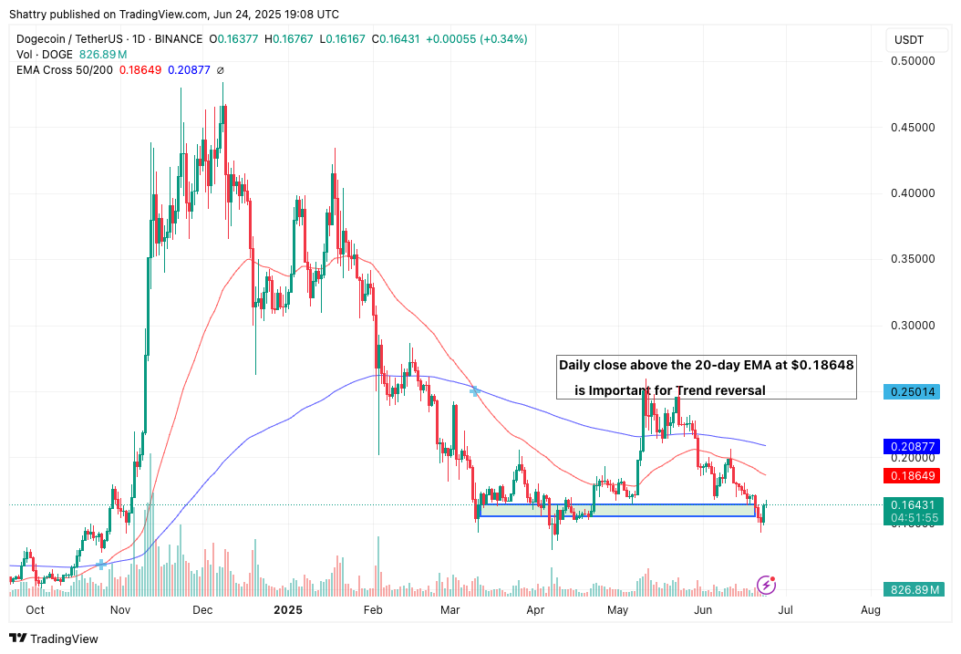 مخطط بياني لسعر الزوج DOGE/USDT