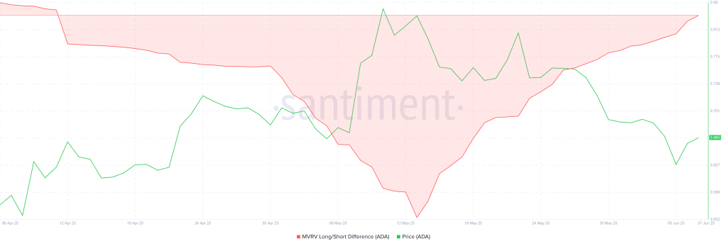 cardano market value to realized value