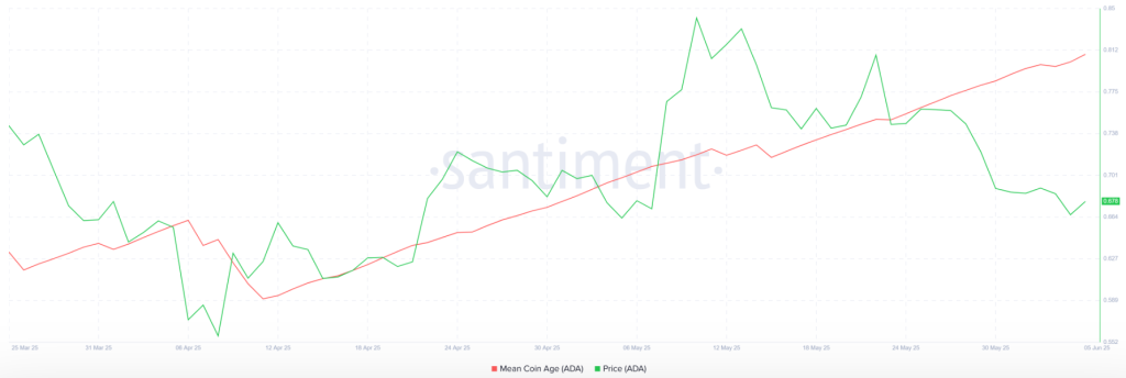 Cardano Mean Coin Age (MCA) İndikatörü