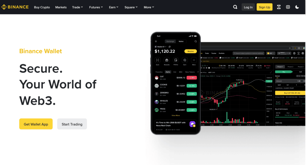 Binance Wallet Overview
