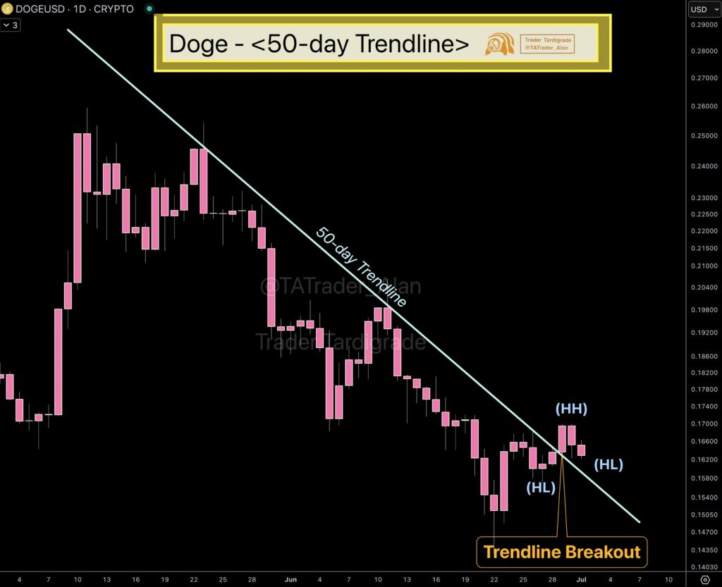 dogecoin fiyat grafiği