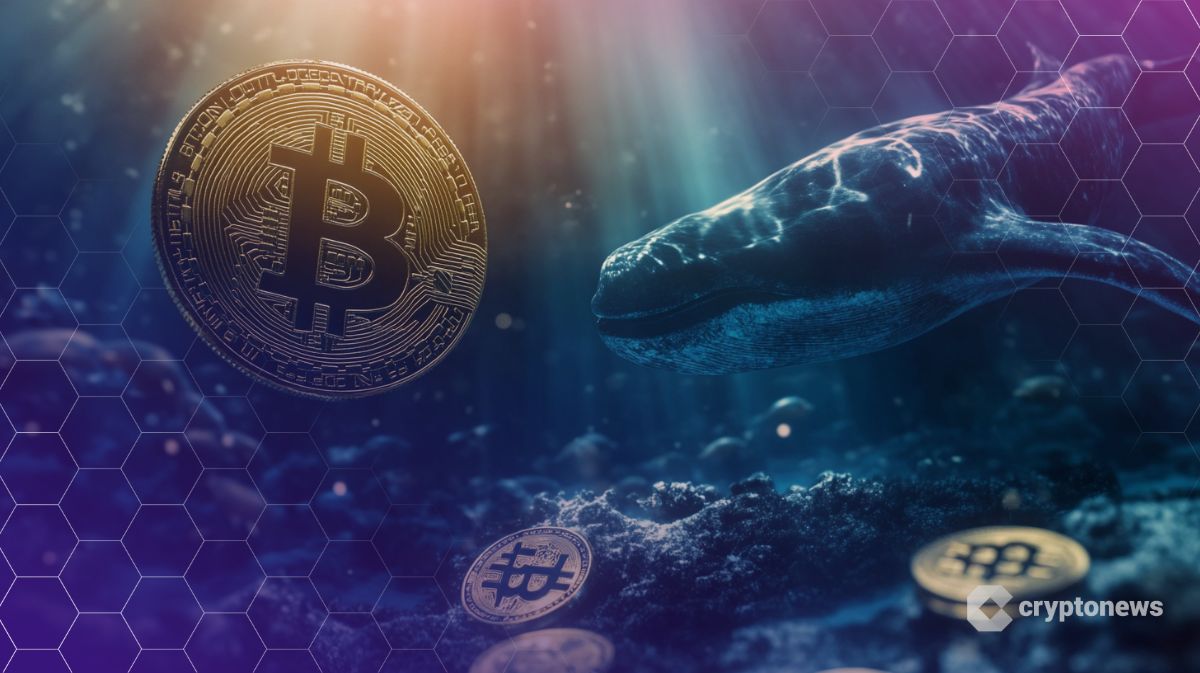 Dormant Whale Sell-Off and ETF Outflows Weigh on Bitcoin, Analyst Warns