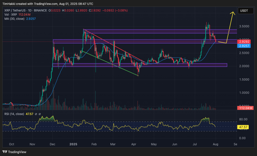 xrp fiyat grafiği