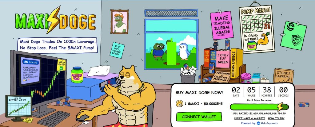 Maxi Doug's subscription interface and its most important data
