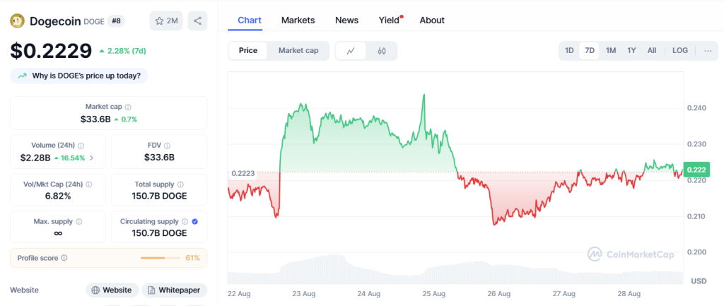 مخطط بينانس لسعر الزوج DOGE/USD مع بعض البيانات