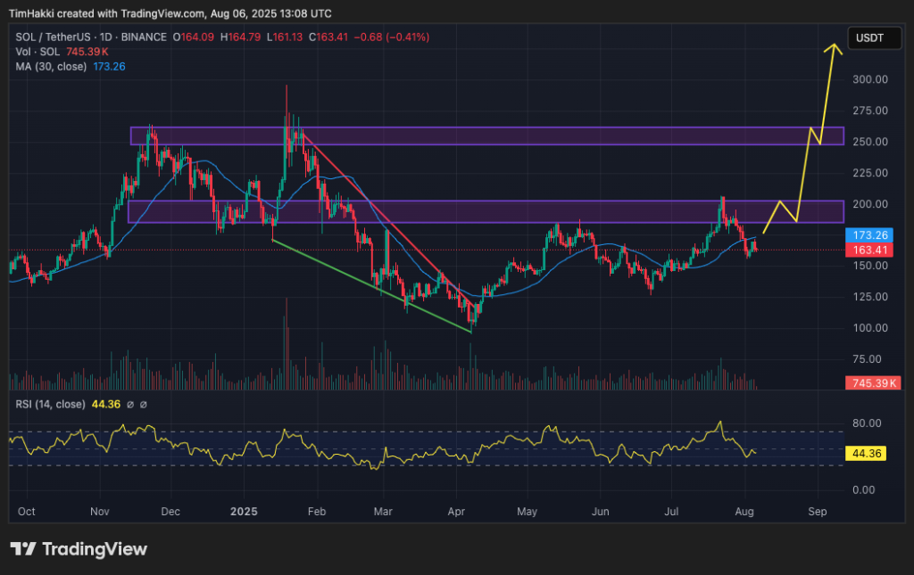 A graphic plan for the price of the floor / USDT pair and its expected height perspectives