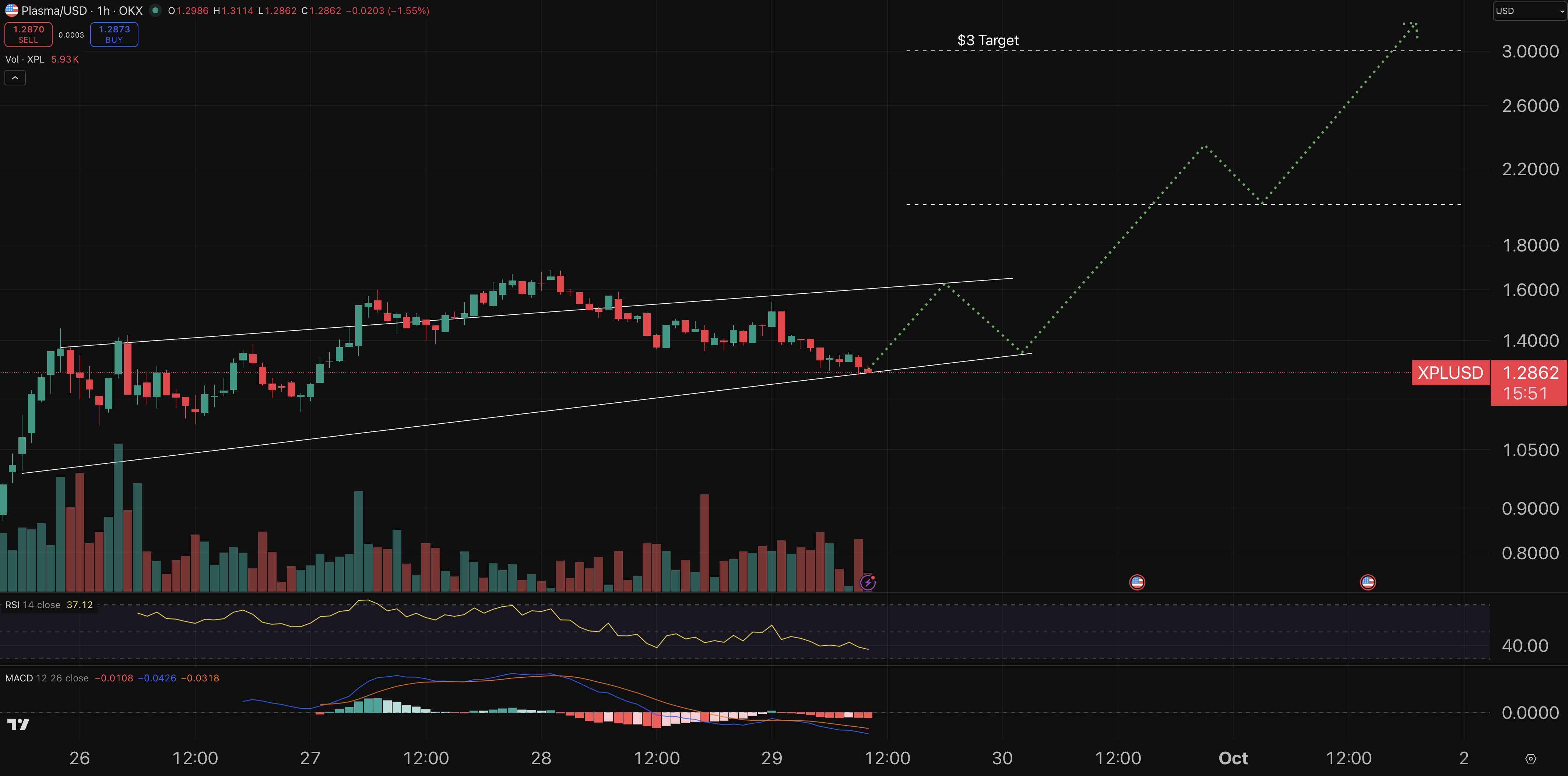 A graphic diagram for a plasma currency price displays the movement model, artistic indicators and expectations