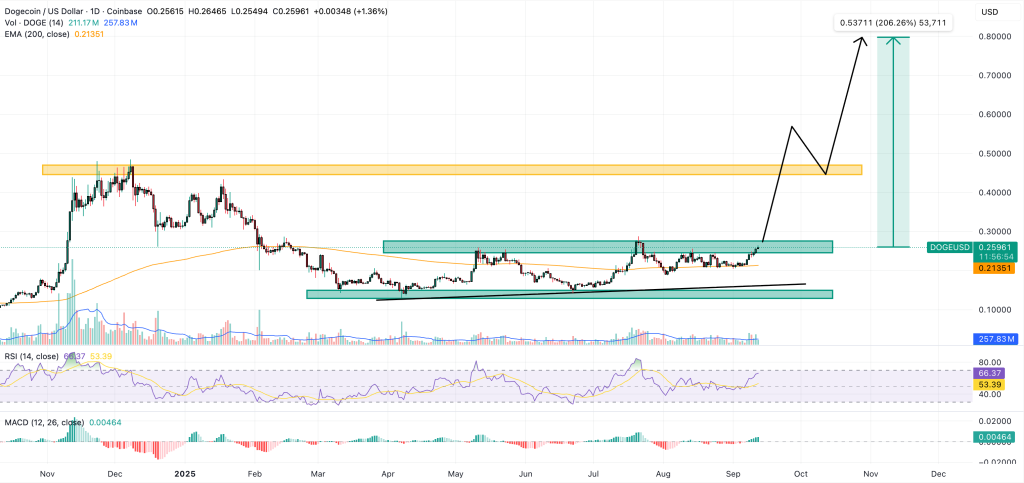 dogecoin fiyat grafiği