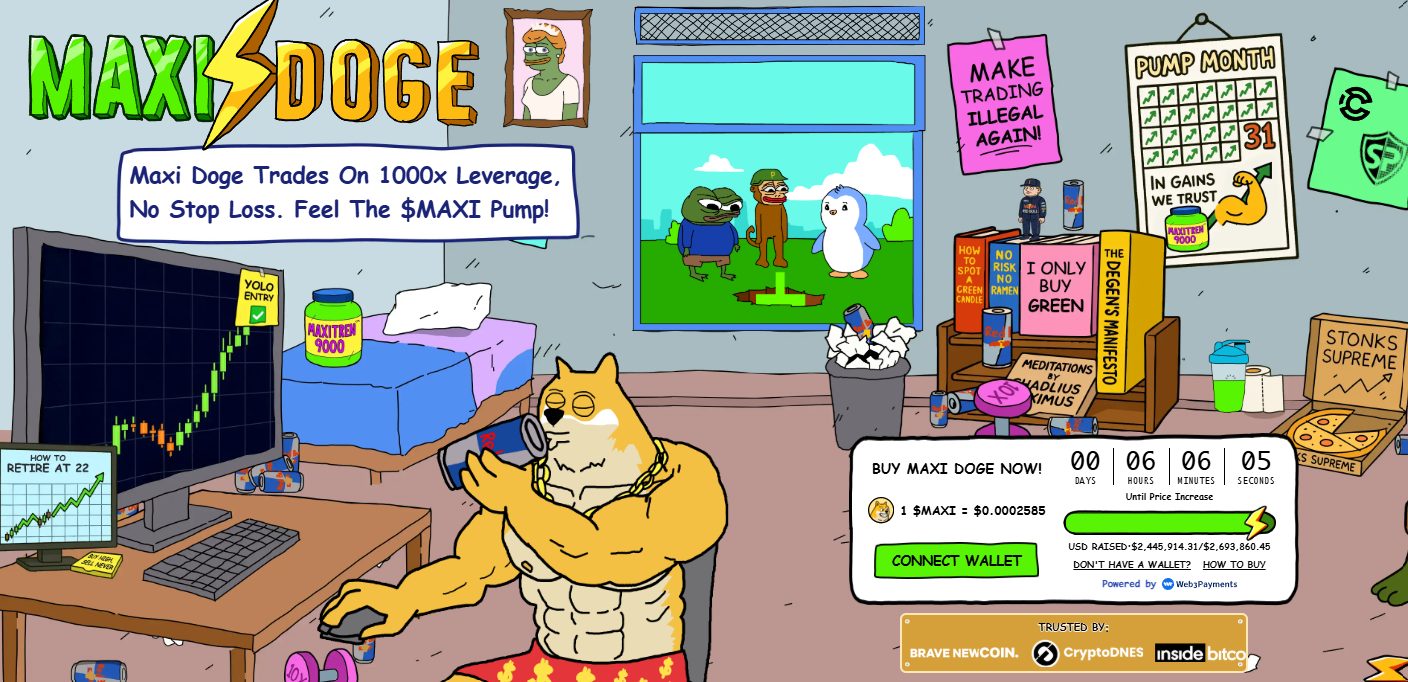 Maxi Doug's subscription interface and its most important data