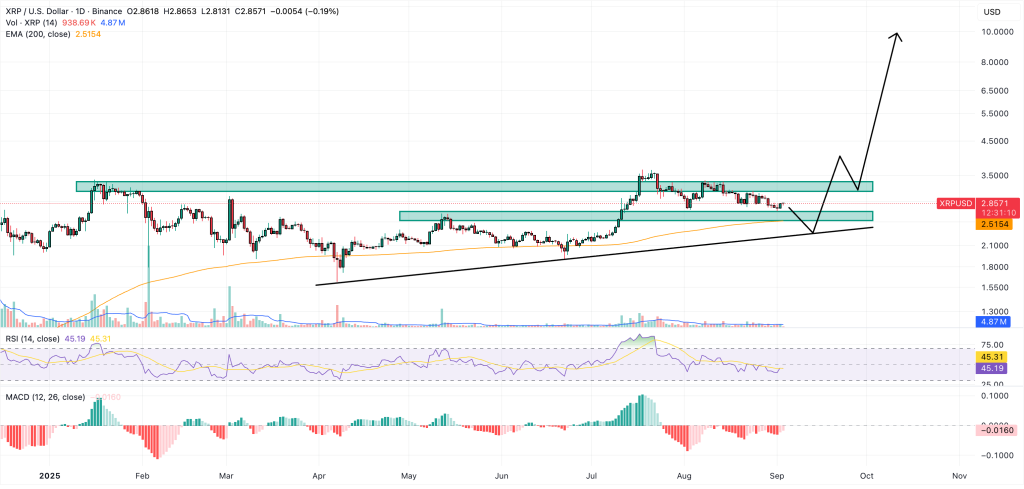XRP 가격 차트